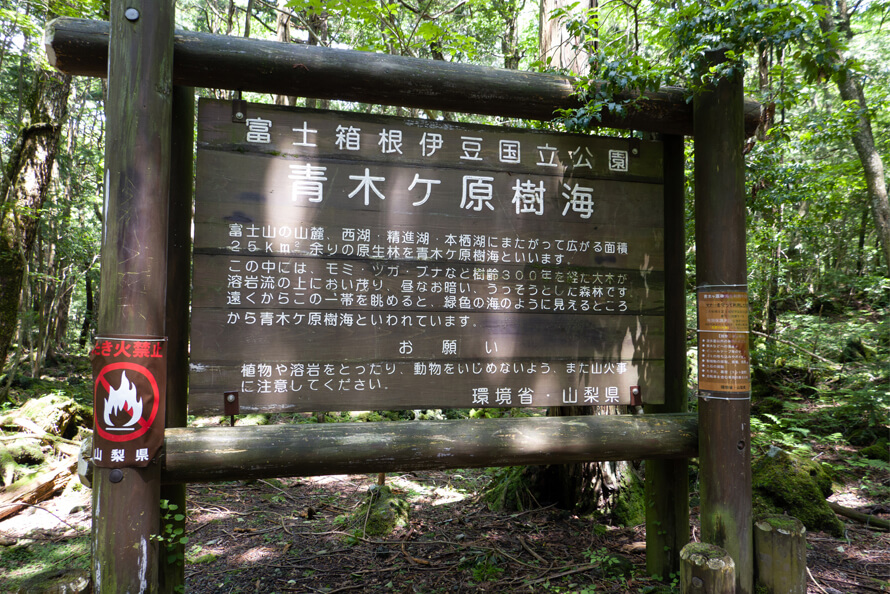 Nỗ lực của chính quyền để ngăn chặn các vụ tự tử